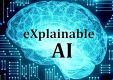 Explainable AI (XAI) Training in the UAE