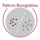Pattern Recognition Training in the UAE