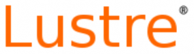 Lustre Training in the UAE