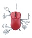 Web Services Training in the UAE